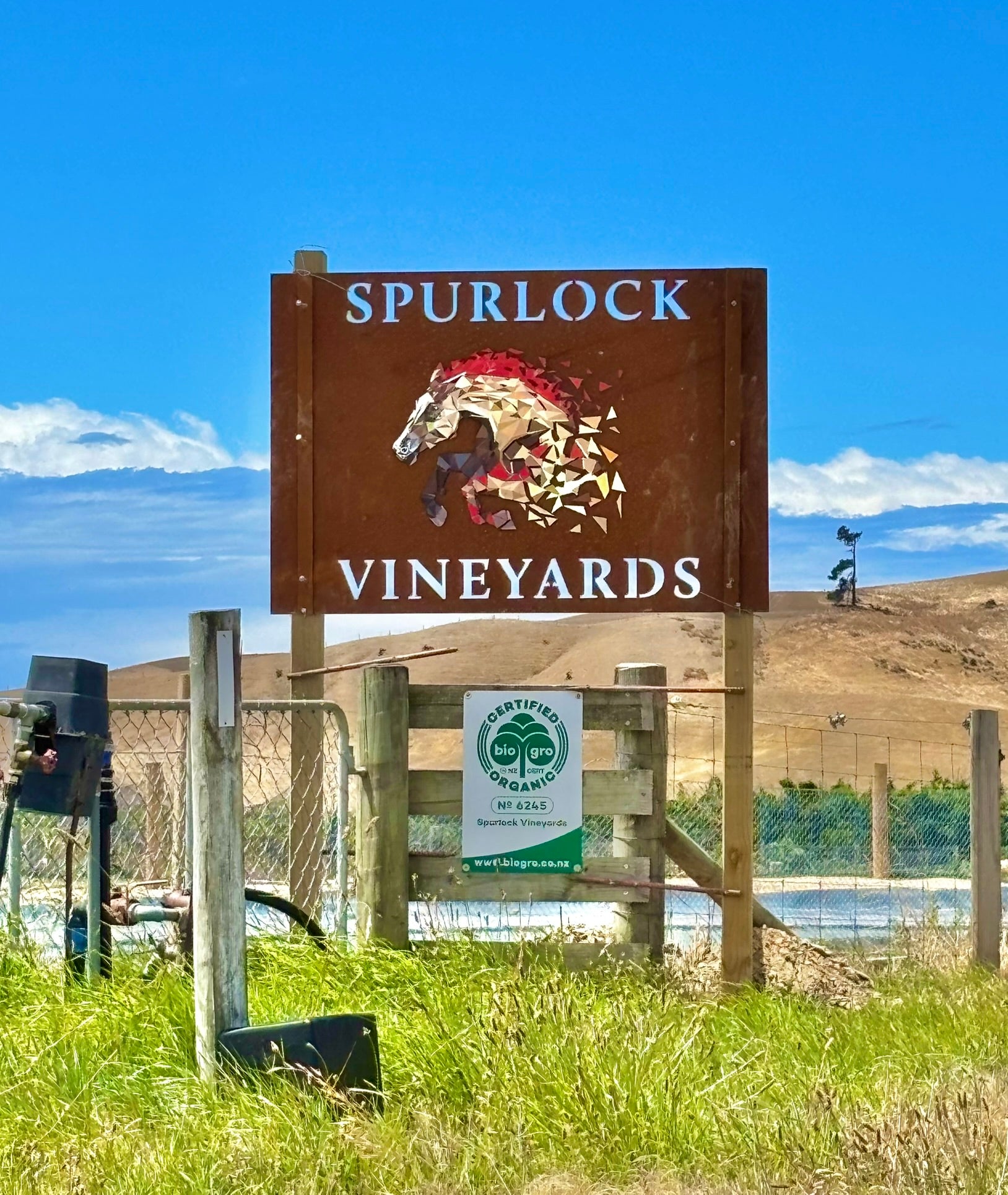 Spurlock Vineyards